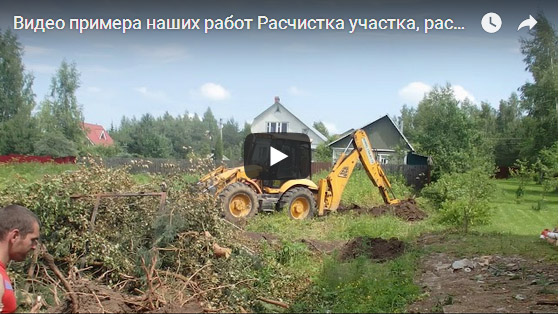 Видео примера наших работ -Расчистка участка, раскорчевка, выравнивание трактором  в Камешкове